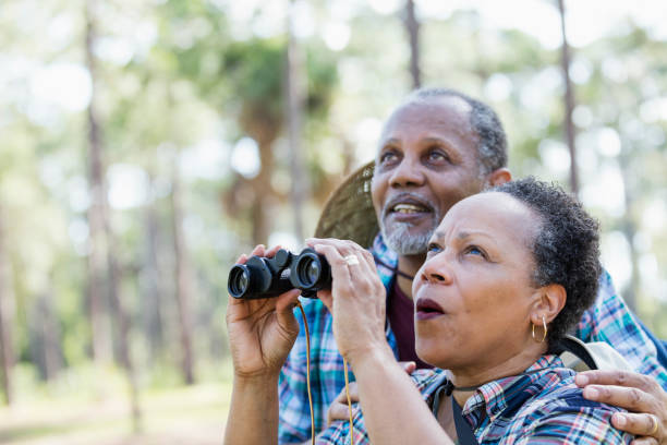 Senior African-American couple bird watching A senior African-American couple in their 60s at the park exploring nature. The woman is holding a pair of binoculars. They are both looking upward, amazed by what they see.  Perhaps they are bird watching. bird watching photos stock pictures, royalty-free photos & images