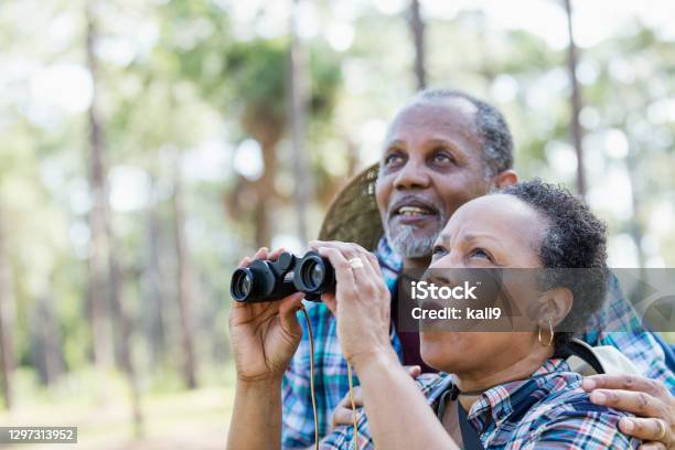 Senior Africanamerican Couple Bird Watching Stock Photo - Download Image Now - Bird Watching, Senior Adult, African-American Ethnicity