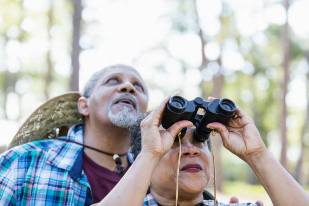 istock Senior African-American couple bird watching 1297313971