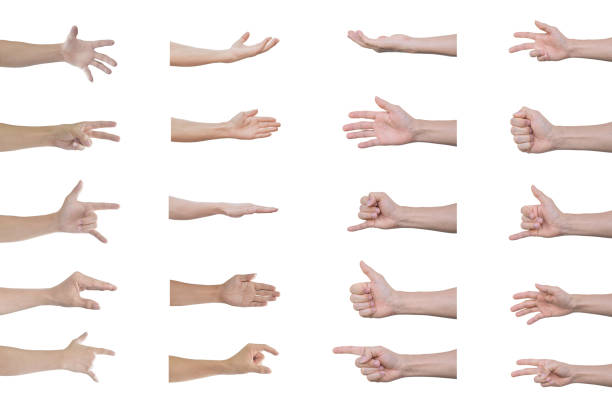 istock Set of man hands Isolated on white background 1297317368