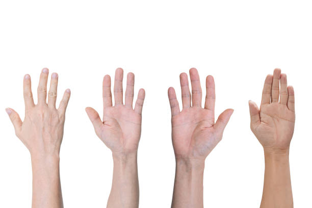istock Group of hands raised up, Isolated on white background 1297317419