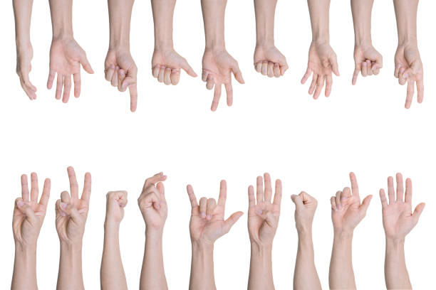 istock Collection of man hands gestures Isolated on white background 1297318152