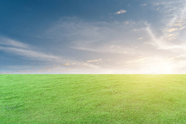 istock Green grass field and blue sky with white clouds 1297318183