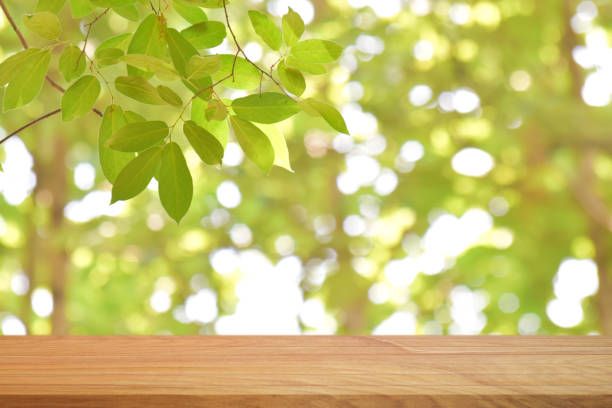 istock Empty wood table top over blur green nature background for product display or montage. 1297318898