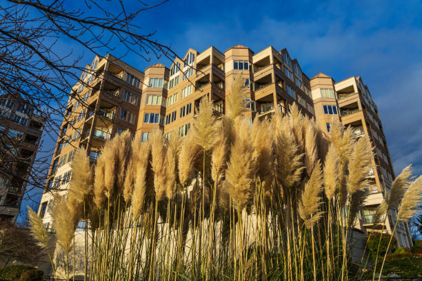 istock Residential Building Victoria BC 1297321772