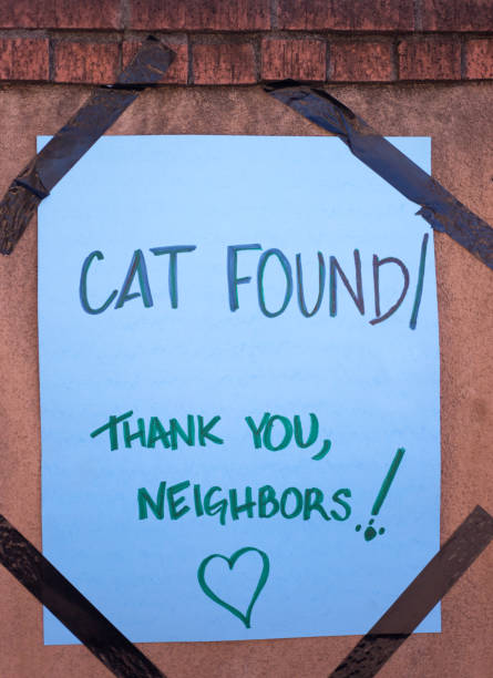 istock Homemade Sign: Cat Found! Thank You Neighbors! 1297321844