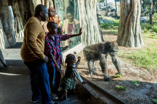 Photo of African-American family visiting the zoo