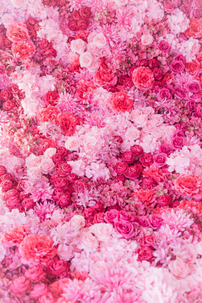 istock beautiful flowers on the wall 1297328008