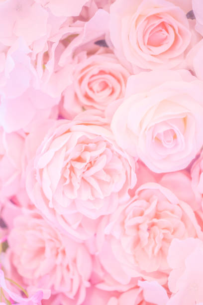 istock beautiful flowers on the wall 1297328042