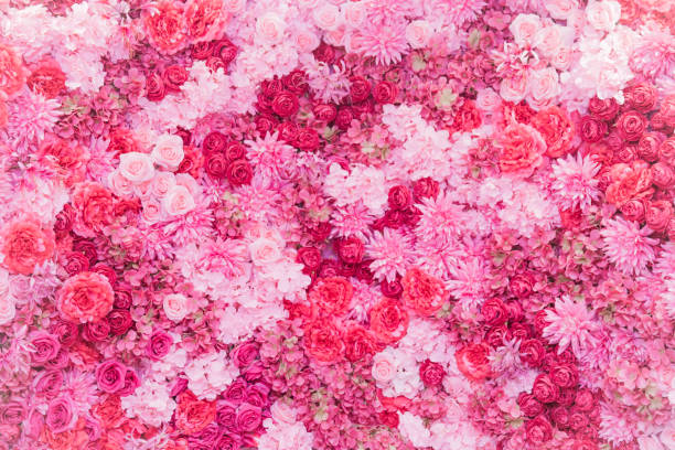 istock beautiful flowers on the wall 1297328076