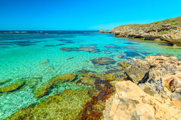 istock Salmon Bay Rottnest Island 1297330723