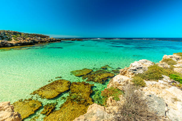 istock Salmon Bay Rottnest Island 1297330724