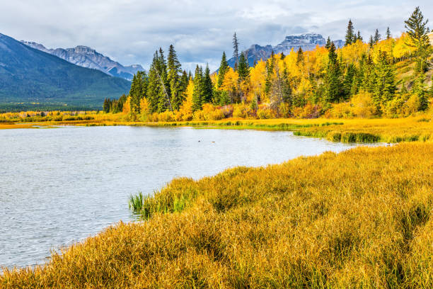 istock The landscape in the Rocky Mountains 1297331719