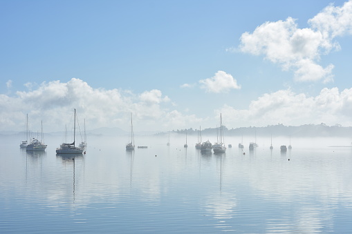Moored recreational boats emerging from low lying fog in calm morning harbour.