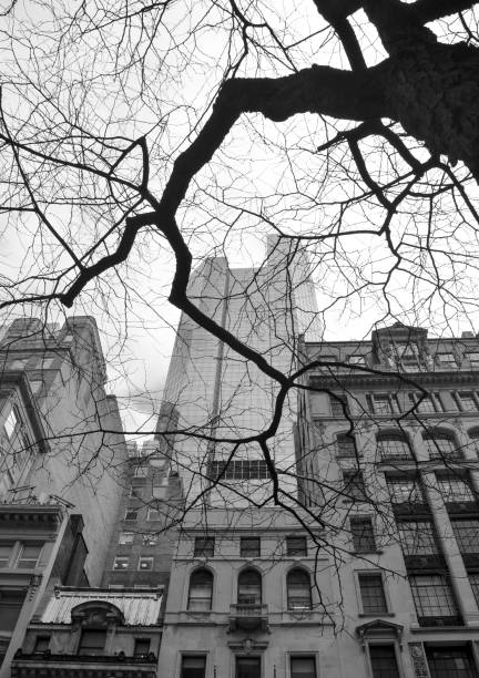 istock New York City 1297338028