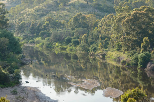 blick nach süden entlang des murrumbidgee river nach tharwa sandwash - gurgling stock-fotos und bilder