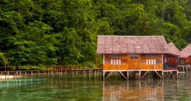 istock Traditional house in Maluku island 1297349842