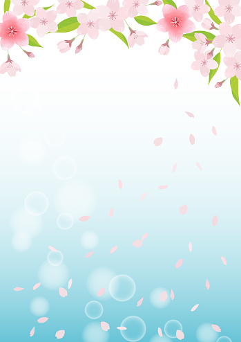 Illustration material of cherry blossoms (vector, background)