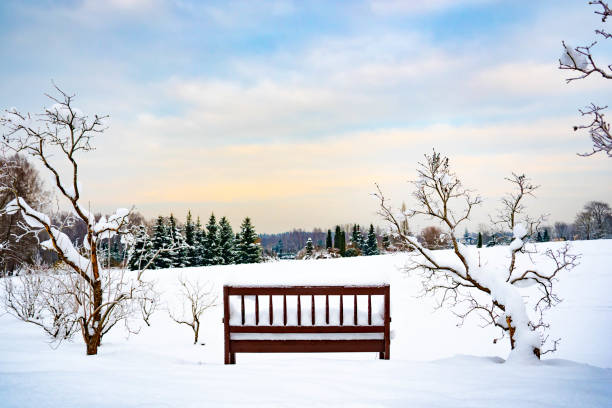 Wonderful white winter landscape with trees and bench covered by snow after big snowfall at sunset