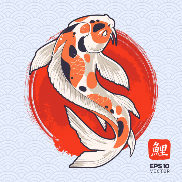 Japanese Koi Fish Tattoo Designs Pictures Illustrations, Royalty-Free  Vector Graphics & Clip Art - iStock