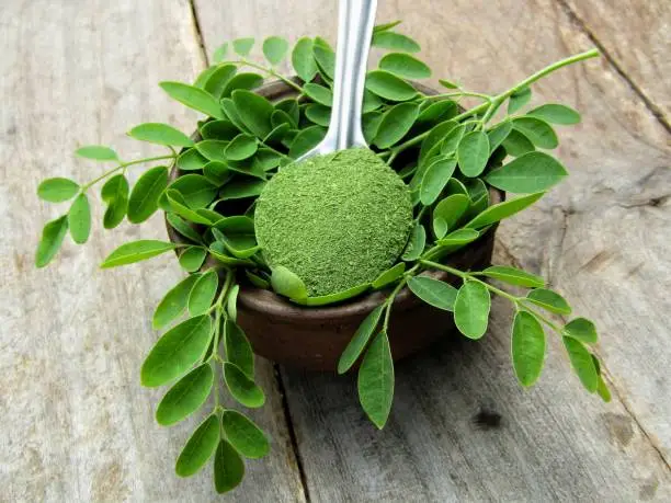 Moringa oleifera leaves with powder in a bowl