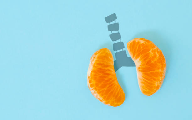A health concept of unhealthy human lungs of a smoker with lung cancer in dark shadows, made of mandarin segments. stock photo