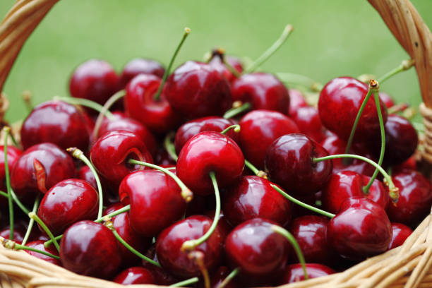 istock Some beautiful sweet cherry fruit in basket 1297359802