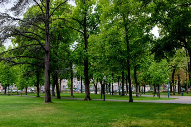 istock Trees in a park, cloudy day, Parque du Champs de Mars, Colmar, Alsace 1297361867