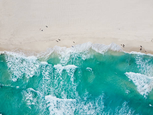 istock Drone photo Playa Ballenas, Cancun, Mexico 1297363902
