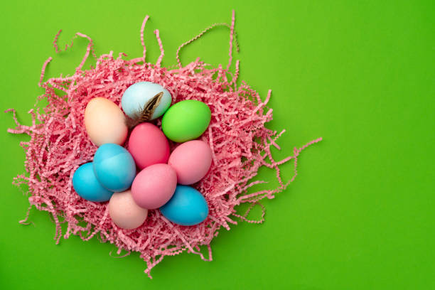 istock Easter eggs in a nest on green background 1297370383