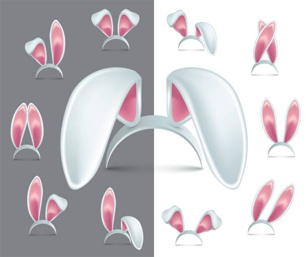 ilustrações, clipart, desenhos animados e ícones de orelhas de coelhinho da páscoa. ilustração vetorial da máscara de coelho. banda de festa peluda realista para cabeça em fundo branco e cinza. decoração festiva da primavera do carnaval - rabbit hairy gray animal