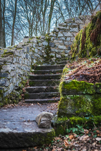 Remains of a staircase in a castle ruin in winter.