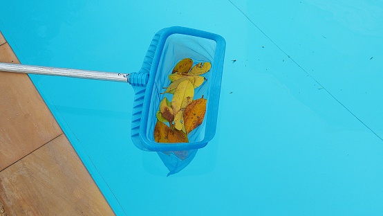 Cleaning swimming pool of fallen leaves with blue skimmer in summer time. Swimming pool maintenance background.