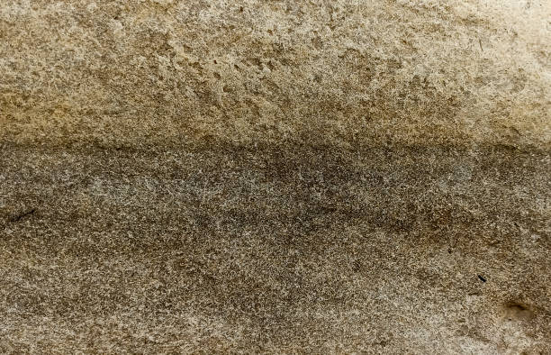 istock The surface of the big stone 1297380748