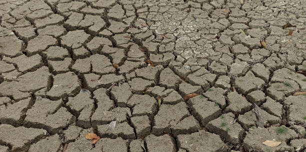 istock The dry soil in the pond 1297380783