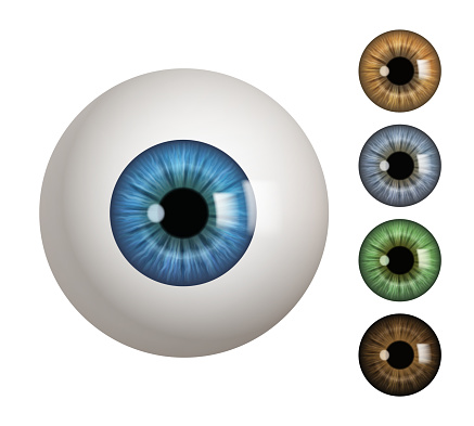 Human eyeball. People anatomical items macro view vision 3d medical decent vector symbols. Eyeball and eyesight, detail colored human eyes illustration