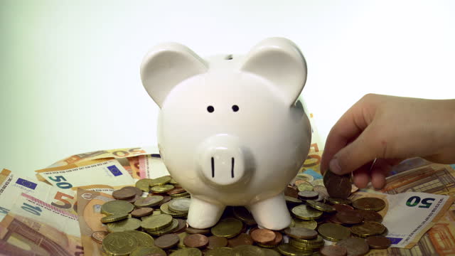 Piggy bank with European money