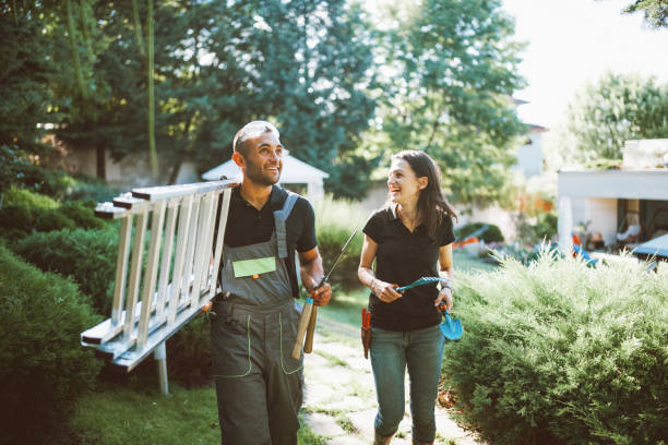 Professional landscapers working in garden.