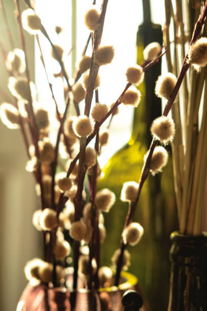 istock The beautiful easter composition of the willow branches, glass vase, glass bottles and ceramic objects opposite the sunny window. Closeup easter background with the selective focus. 1297382981