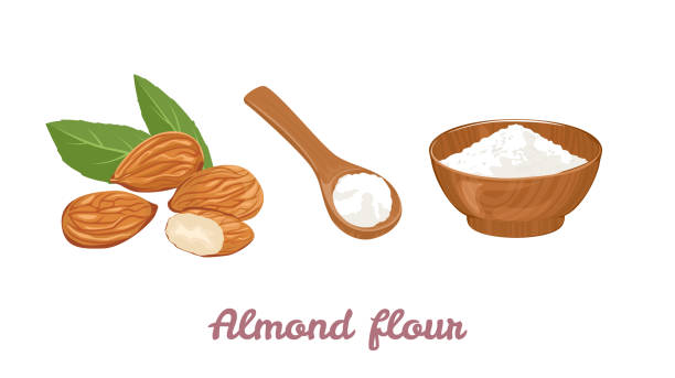 ilustrações, clipart, desenhos animados e ícones de farinha de amêndoas em colher de pau, tigela e pilha de nozes isoladas no fundo branco. ilustração vetorial de alimentos orgânicos saudáveis em estilo flat desenho animado. - ground nuts