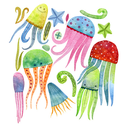 Set of multi-colored jellyfish. Ocean dwellers. Undersea world. Watercolor drawing.