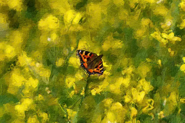 Photo of oil painting of a red admiral butterfly in English field in summer