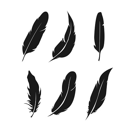 Feathers icon set. Bird feather vector collection.