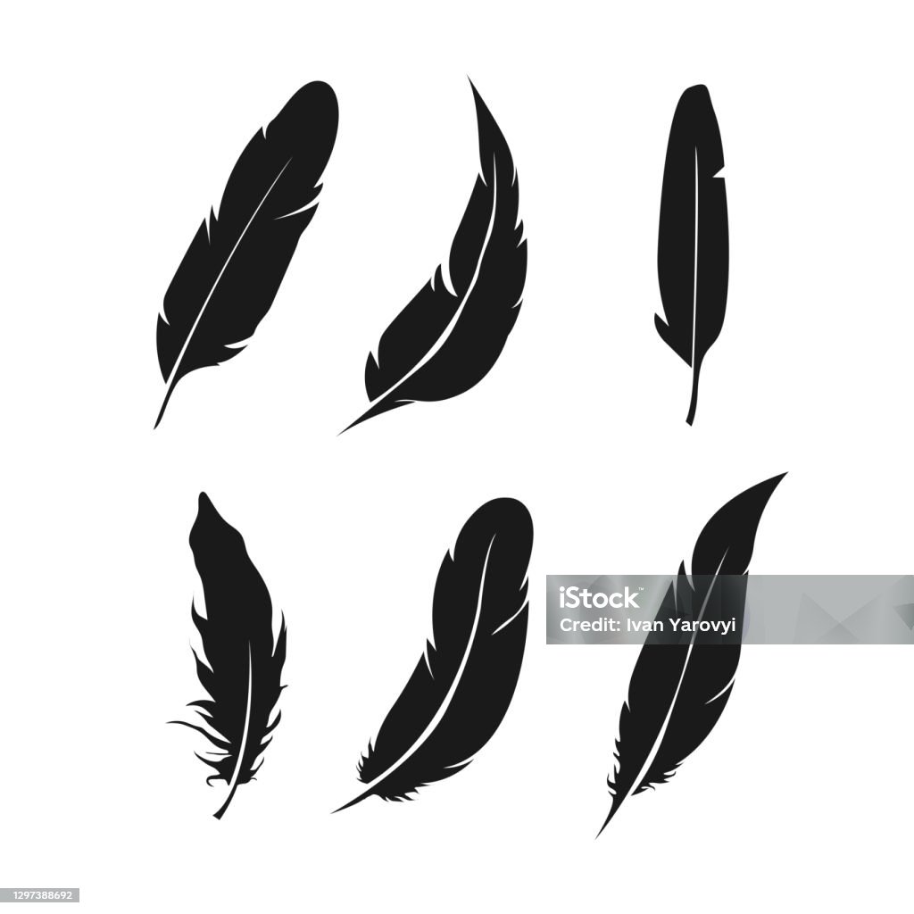 Bộ biểu tượng lông vũ. Bộ sưu tập vectơ lông chim. - Trả phí Bản quyền Một lần Lông Vũ vectơ sẵn có Bộ biểu tượng lông vũ. Bộ sưu tập vectơ lông chim. - Trả phí Bản quyền Một lần Lông Vũ vectơ sẵn có