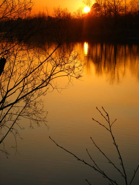 istock landscape. river. evening in the forest 1297389982