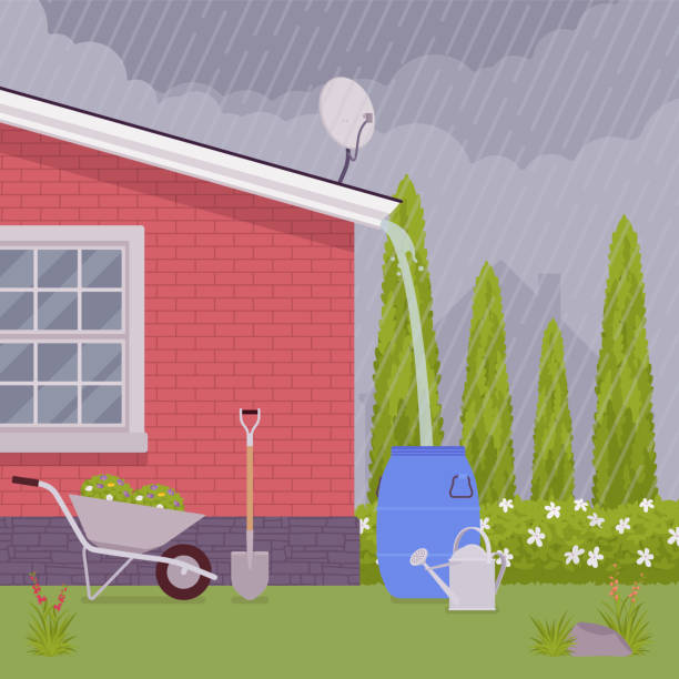 Ilustración de Sistema De Recolección De Agua De Lluvia En La Azotea Recolectando Escoba De Lluvia En Barril y más Vectores Libres de Derechos de Lluvia - iStock Ilustración de Sistema De Recolección De Agua De Lluvia En La Azotea Recolectando Escoba De Lluvia En Barril y más Vectores Libres de Derechos de Lluvia - iStock