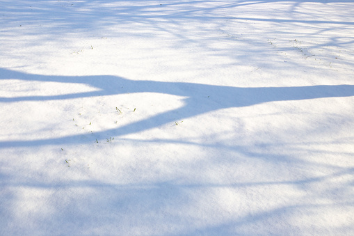 Shadow from a tree in the snow in winter on a sunny day. Atmospheric natural snow background.