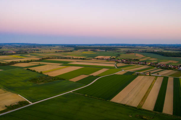 istock Scenic view of patchwork wheat field 1297391903