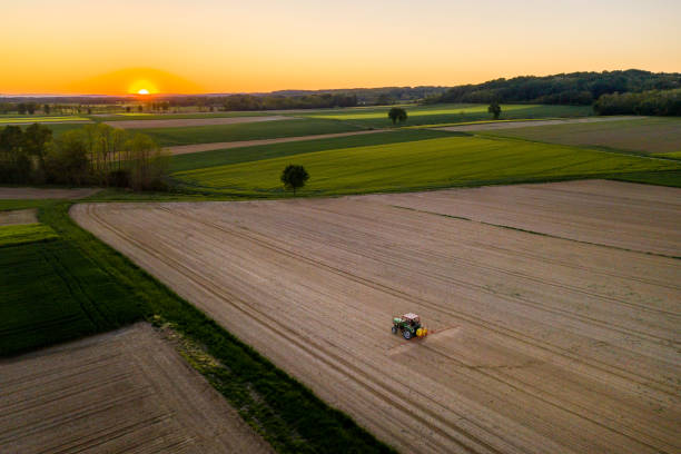 istock Tractor working in field. Field spraying. 1297391923
