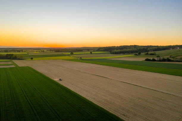 istock Tractor working in field of wheat. Field spraying. 1297392353